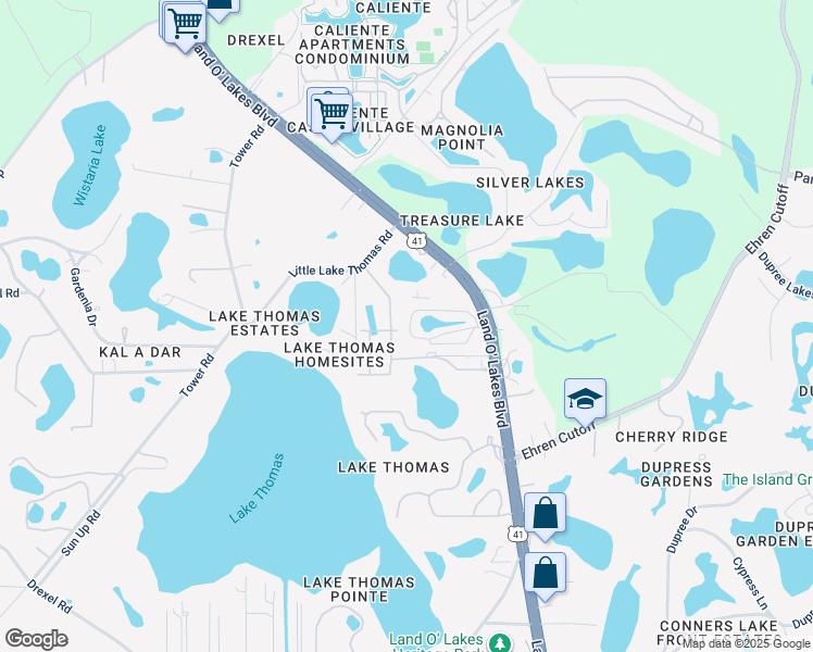 map of restaurants, bars, coffee shops, grocery stores, and more near 21330 Lake Bambi Circle in Land O' Lakes