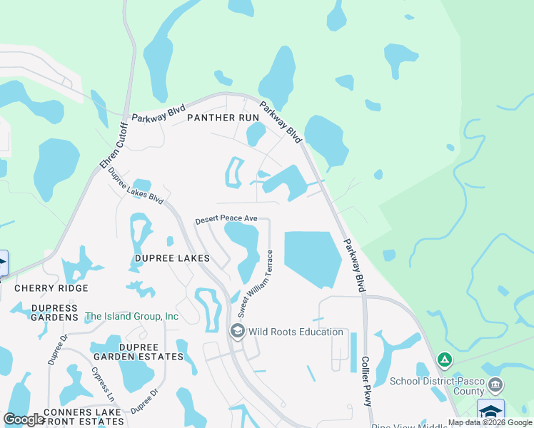 map of restaurants, bars, coffee shops, grocery stores, and more near 6339 Desert Peace Avenue in Land O' Lakes