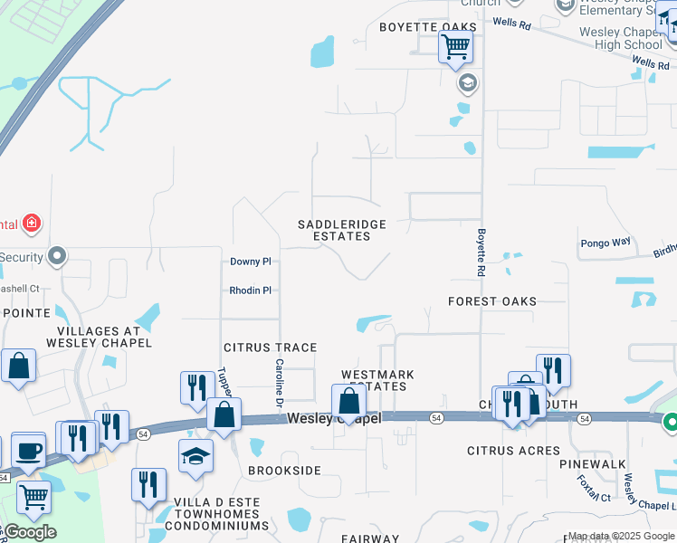 map of restaurants, bars, coffee shops, grocery stores, and more near 6201 Bridleford Drive in Wesley Chapel
