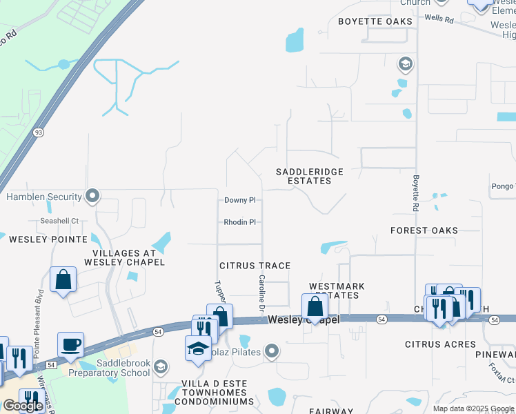 map of restaurants, bars, coffee shops, grocery stores, and more near 29340 Downy Place in Wesley Chapel