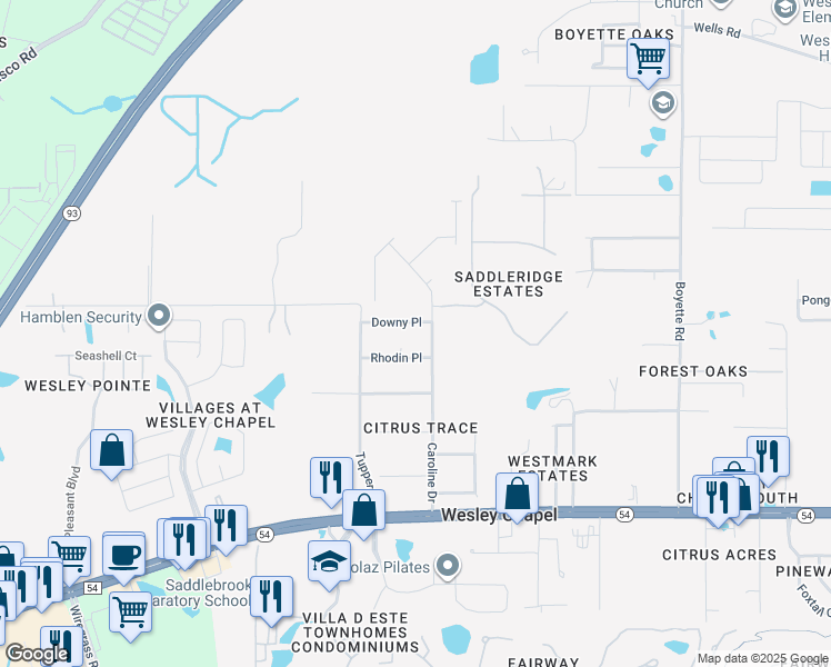map of restaurants, bars, coffee shops, grocery stores, and more near 29340 Downy Place in Wesley Chapel