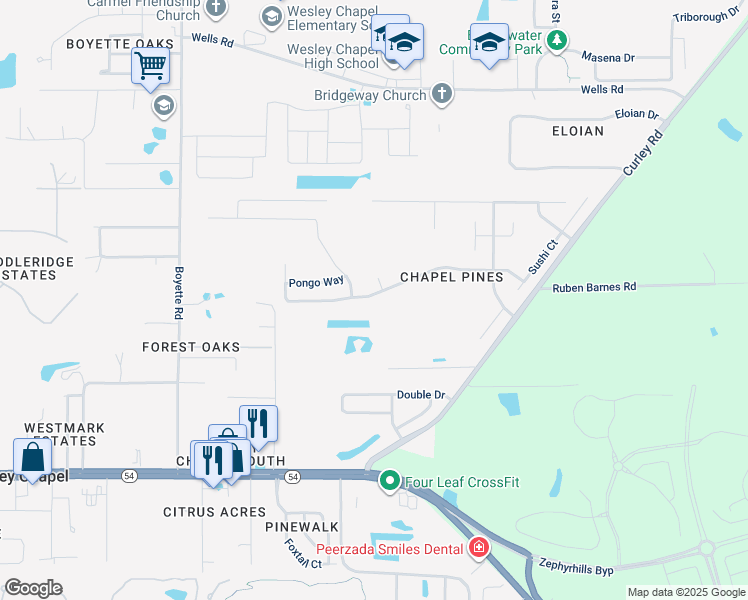 map of restaurants, bars, coffee shops, grocery stores, and more near 30452 Birdhouse Drive in Wesley Chapel