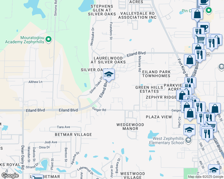 map of restaurants, bars, coffee shops, grocery stores, and more near 37245 Hannah Lane in Zephyrhills