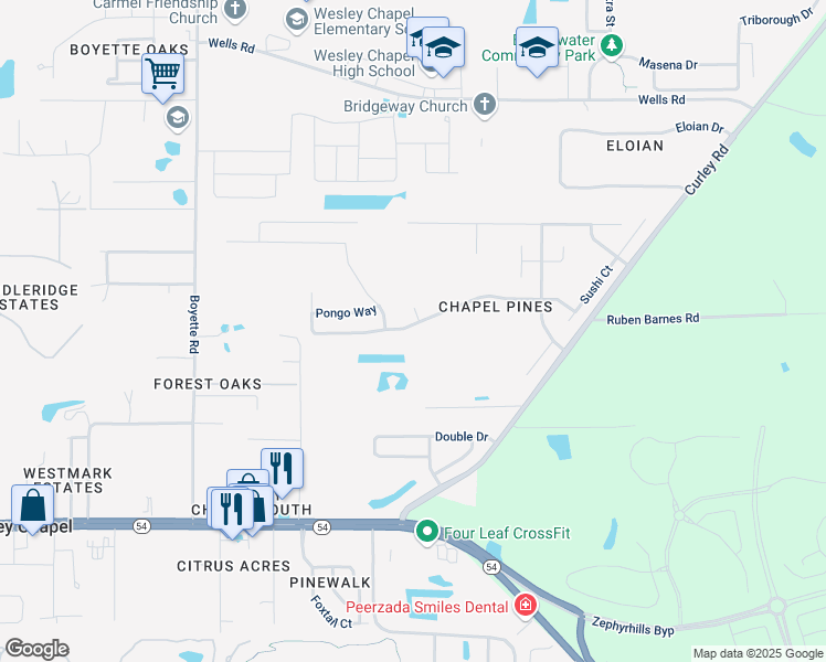 map of restaurants, bars, coffee shops, grocery stores, and more near 30500 Birdhouse Drive in Wesley Chapel