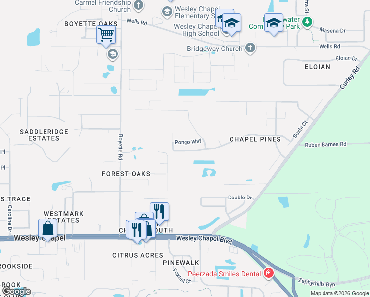 map of restaurants, bars, coffee shops, grocery stores, and more near 30319 Birdhouse Drive in Wesley Chapel
