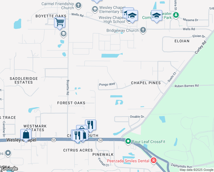 map of restaurants, bars, coffee shops, grocery stores, and more near 30326 Pongo Way in Wesley Chapel