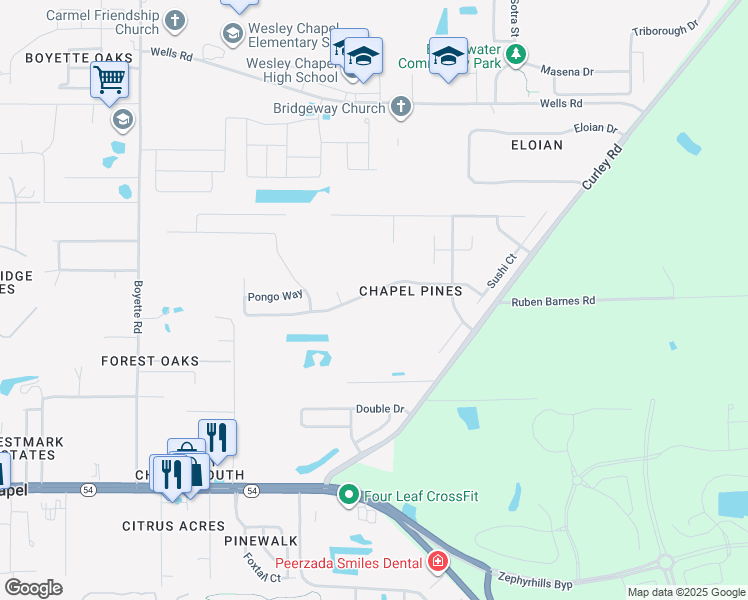map of restaurants, bars, coffee shops, grocery stores, and more near 30622 Birdhouse Drive in Wesley Chapel