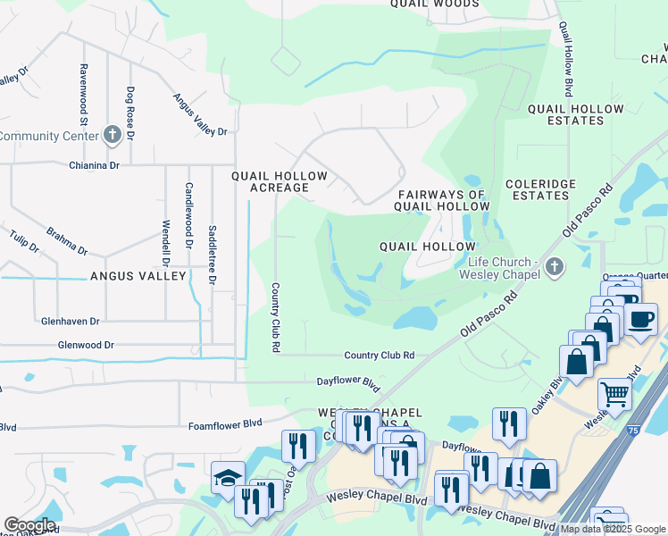 map of restaurants, bars, coffee shops, grocery stores, and more near 6144 Country Club Road in Zephyrhills