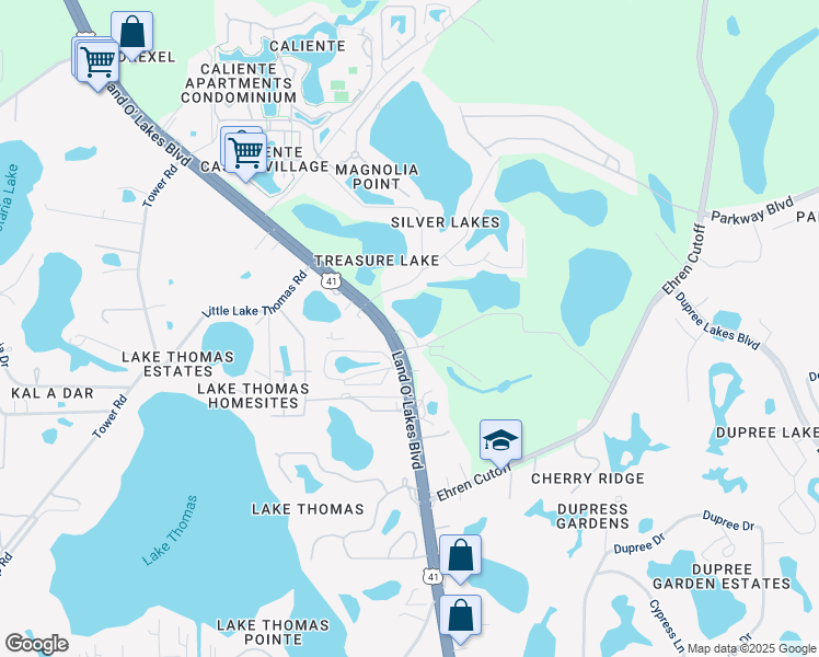 map of restaurants, bars, coffee shops, grocery stores, and more near 6202 Land O' Lakes Boulevard in Land O' Lakes