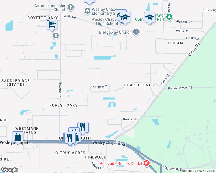 map of restaurants, bars, coffee shops, grocery stores, and more near 30412 Pongo Way in Wesley Chapel