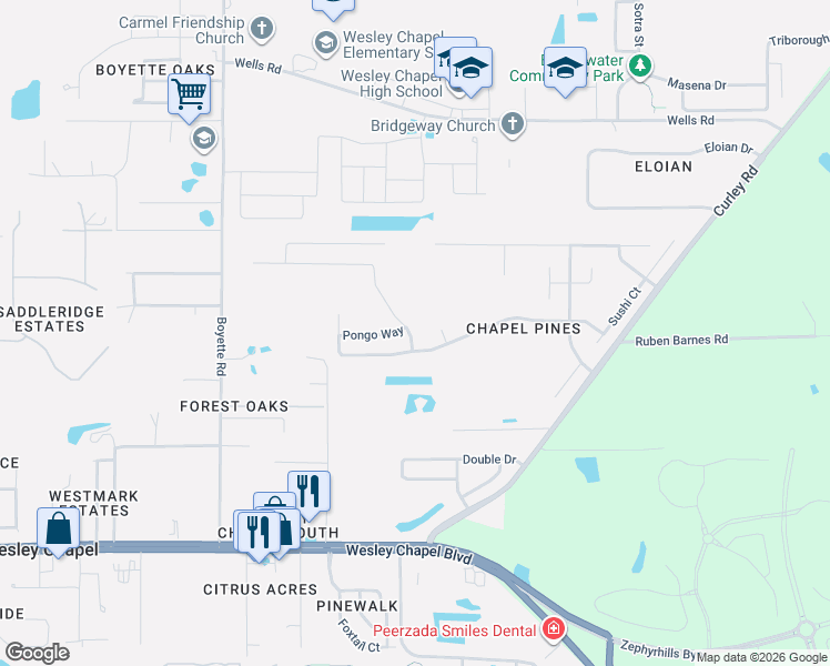 map of restaurants, bars, coffee shops, grocery stores, and more near 6236 Tabogi Trail in Wesley Chapel