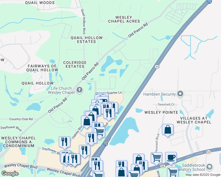 map of restaurants, bars, coffee shops, grocery stores, and more near 6206 Ryerson Circle in Wesley Chapel