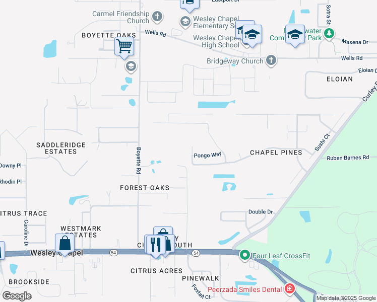 map of restaurants, bars, coffee shops, grocery stores, and more near 30212 Birdhouse Drive in Wesley Chapel