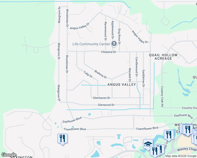 map of restaurants, bars, coffee shops, grocery stores, and more near 6226 Tulip Drive in Zephyrhills