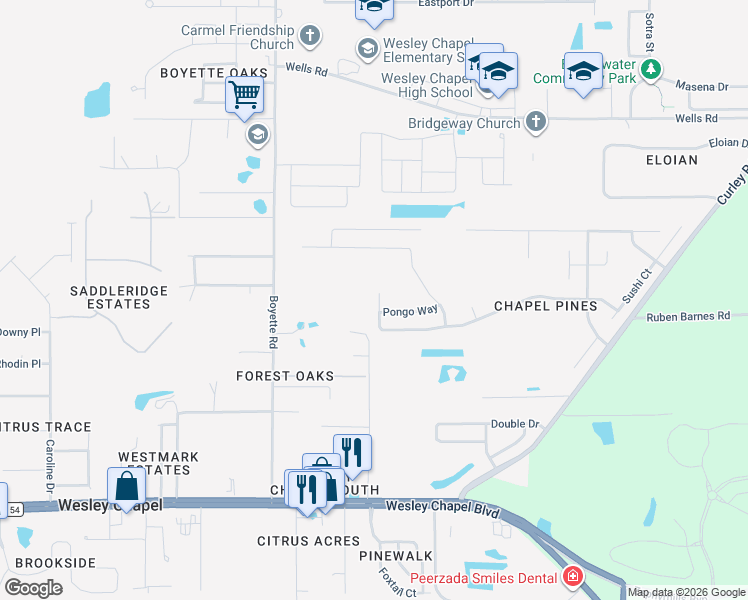 map of restaurants, bars, coffee shops, grocery stores, and more near 30208 Birdhouse Drive in Wesley Chapel