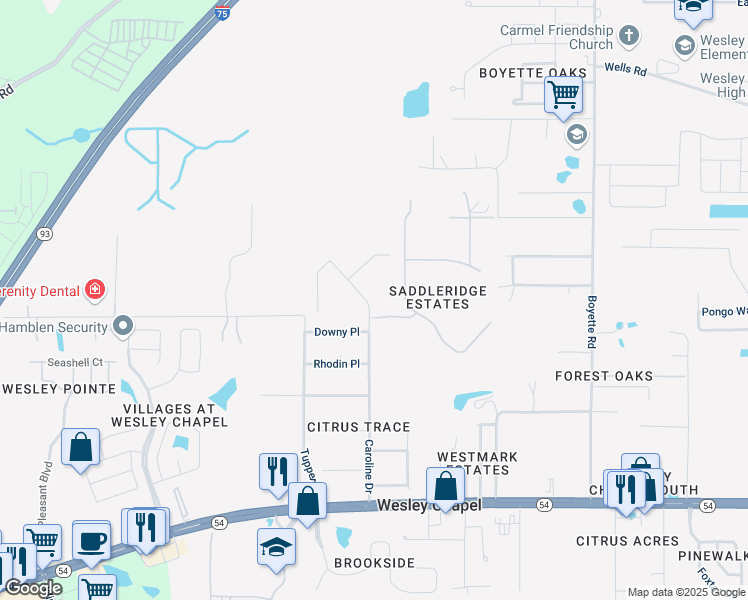 map of restaurants, bars, coffee shops, grocery stores, and more near 6274 Caroline Drive in Wesley Chapel