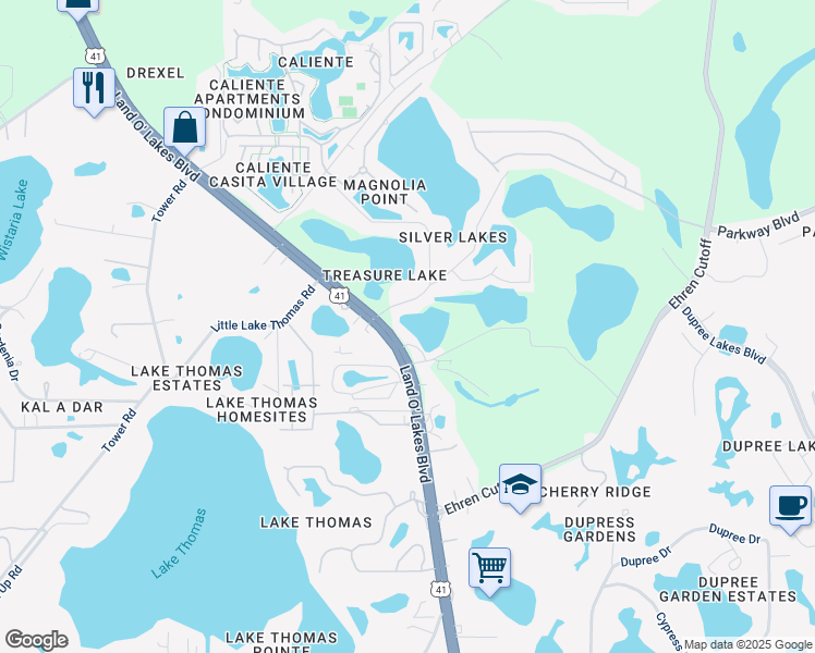 map of restaurants, bars, coffee shops, grocery stores, and more near 6202 Land O' Lakes Boulevard in Land O' Lakes