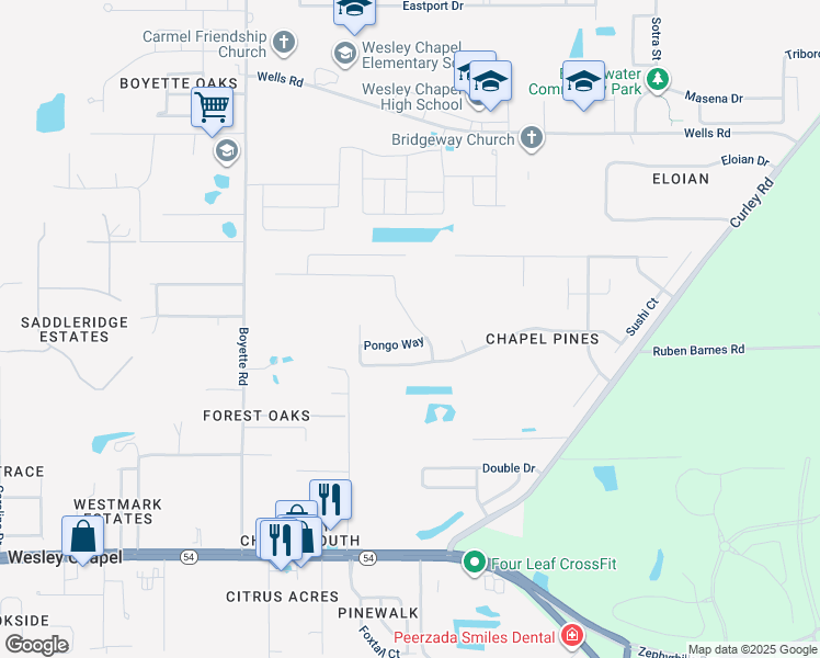 map of restaurants, bars, coffee shops, grocery stores, and more near 6315 Tabogi Trail in Wesley Chapel