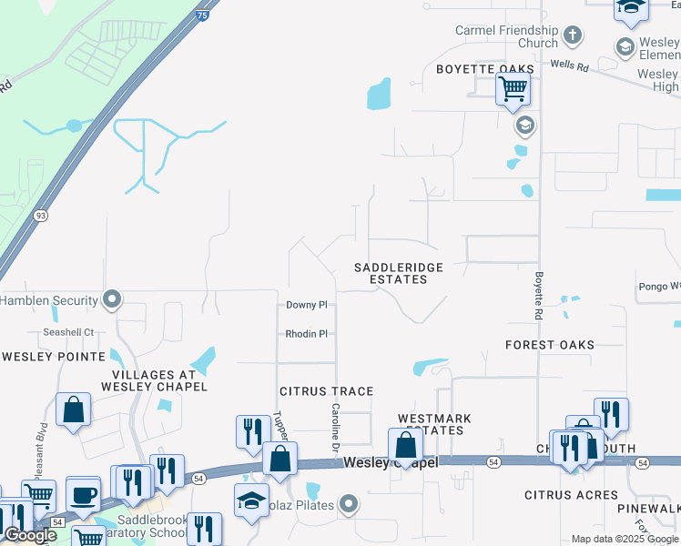 map of restaurants, bars, coffee shops, grocery stores, and more near 6224 Caroline Drive in Wesley Chapel