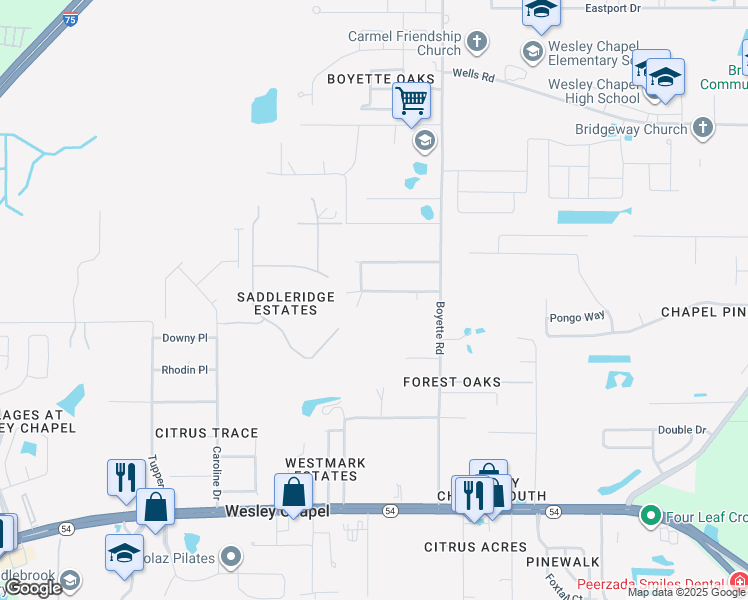 map of restaurants, bars, coffee shops, grocery stores, and more near 29917 Briarthorn Loop in Wesley Chapel