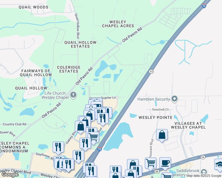 map of restaurants, bars, coffee shops, grocery stores, and more near 6206 Ryerson Circle in Wesley Chapel