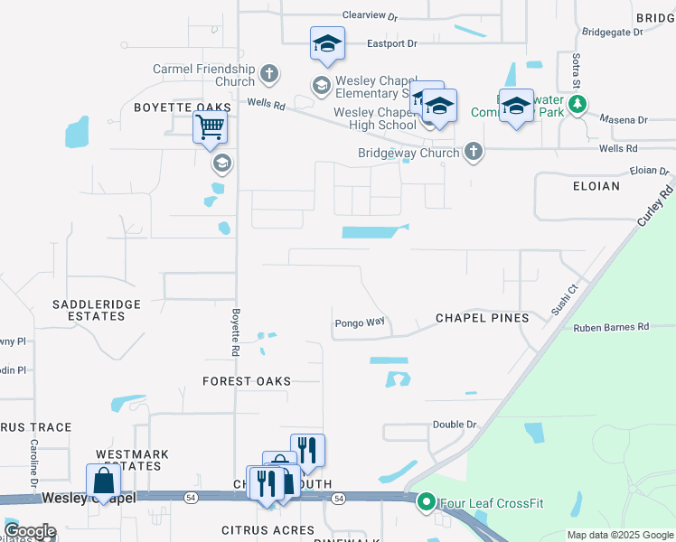 map of restaurants, bars, coffee shops, grocery stores, and more near 6445 Tabogi Trail in Wesley Chapel