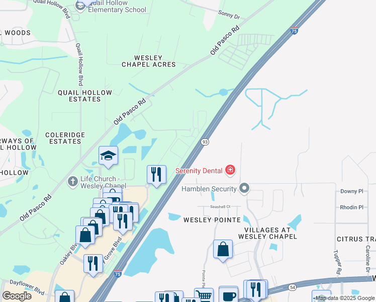 map of restaurants, bars, coffee shops, grocery stores, and more near 28519 Tupper Road in Wesley Chapel