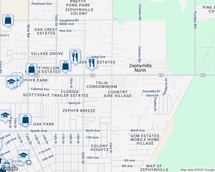 map of restaurants, bars, coffee shops, grocery stores, and more near 39234 Park Place Circle in Zephyrhills