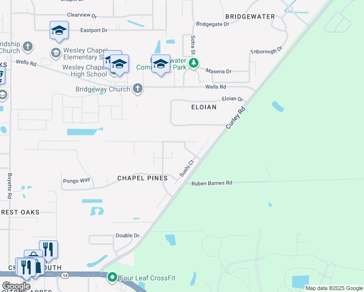 map of restaurants, bars, coffee shops, grocery stores, and more near 6429 Pine Top Way in Wesley Chapel