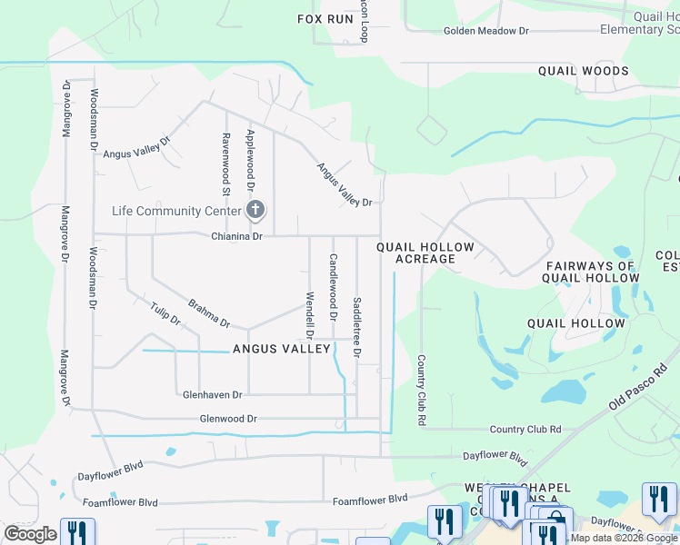 map of restaurants, bars, coffee shops, grocery stores, and more near 6416 Candlewood Drive in Wesley Chapel
