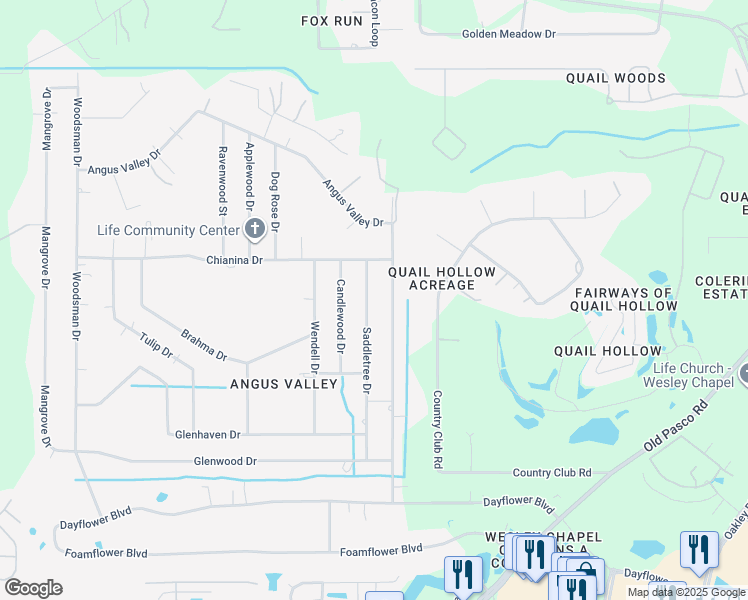 map of restaurants, bars, coffee shops, grocery stores, and more near 6416 Saddletree Drive in Wesley Chapel