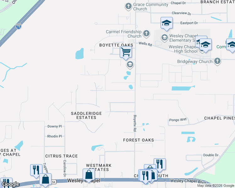 map of restaurants, bars, coffee shops, grocery stores, and more near 29806 Cooper Road in Wesley Chapel