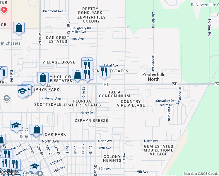 map of restaurants, bars, coffee shops, grocery stores, and more near 39132 County Road 54 in Zephyrhills