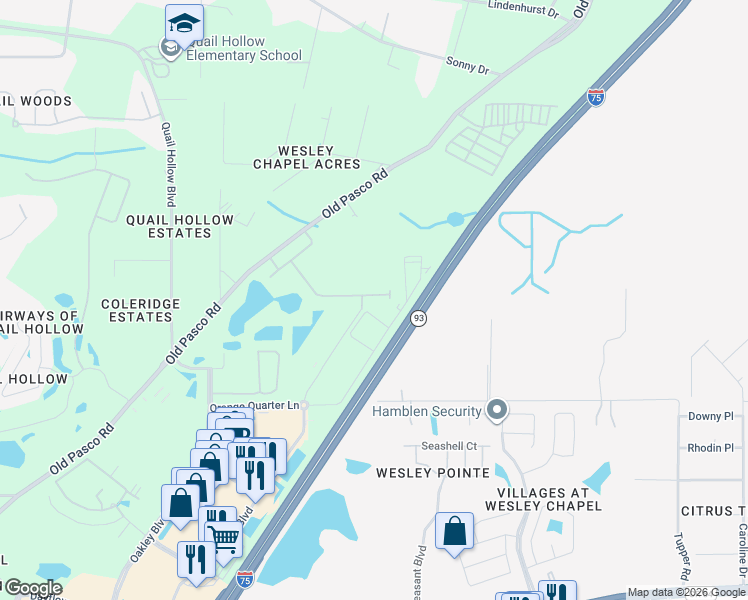 map of restaurants, bars, coffee shops, grocery stores, and more near State Highway 93 in Wesley Chapel