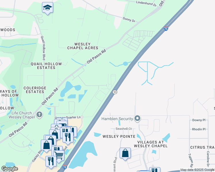 map of restaurants, bars, coffee shops, grocery stores, and more near State Highway 93 in Wesley Chapel
