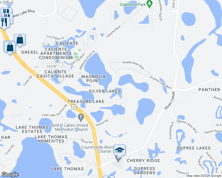 map of restaurants, bars, coffee shops, grocery stores, and more near Fletch Road in Land O' Lakes