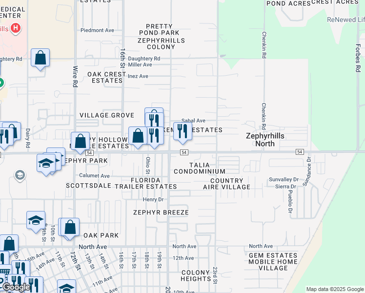 map of restaurants, bars, coffee shops, grocery stores, and more near 39053 County Road in Zephyrhills