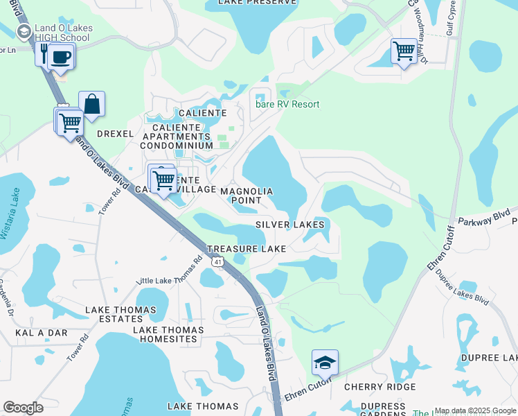 6519 Vanda Lane, Land O' Lakes FL Walk Score