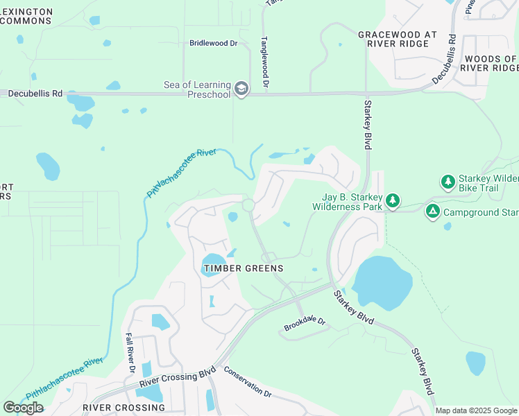 map of restaurants, bars, coffee shops, grocery stores, and more near 9515 Scenic Pine Court in New Port Richey