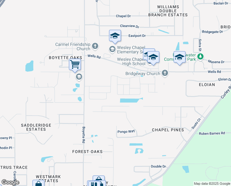 map of restaurants, bars, coffee shops, grocery stores, and more near 6309 Dutton Drive in Wesley Chapel