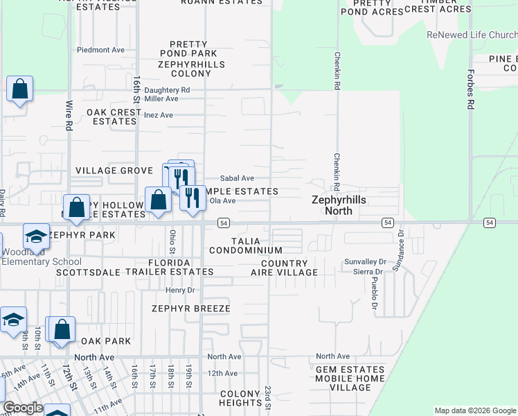 map of restaurants, bars, coffee shops, grocery stores, and more near 39203 Orient Avenue in Zephyrhills