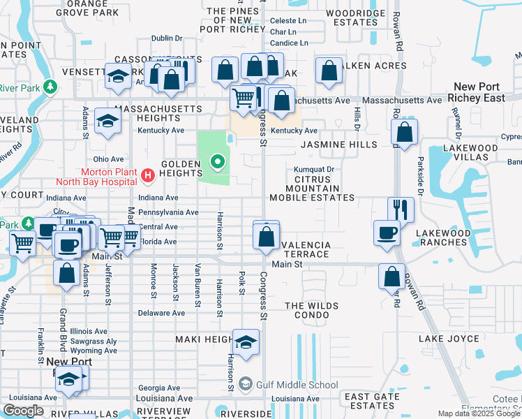 map of restaurants, bars, coffee shops, grocery stores, and more near 6509 Congress Street in New Port Richey