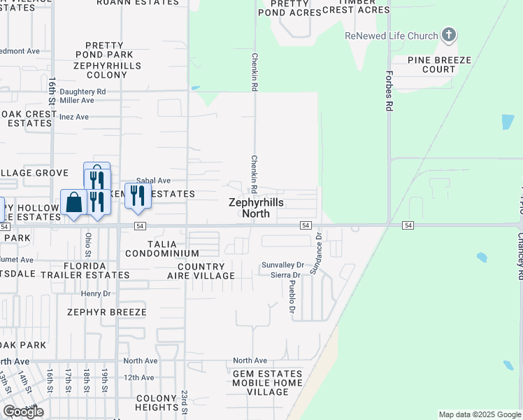 map of restaurants, bars, coffee shops, grocery stores, and more near 39505 Rosebush Lane in Zephyrhills