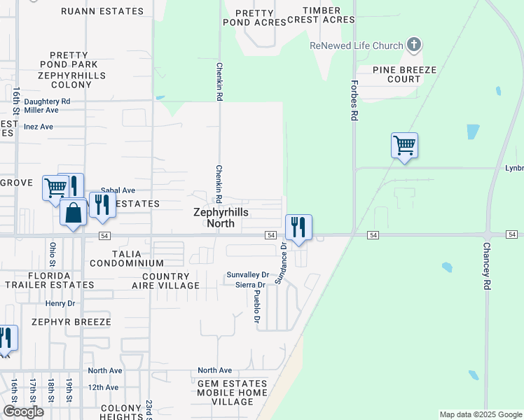 map of restaurants, bars, coffee shops, grocery stores, and more near 39615 Papaya Avenue in Zephyrhills