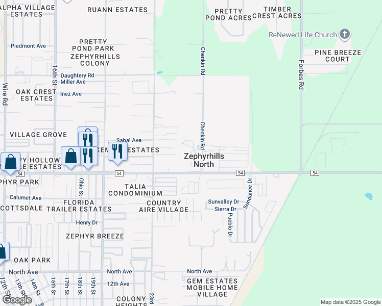 map of restaurants, bars, coffee shops, grocery stores, and more near 39443 Bloss Drive in Zephyrhills