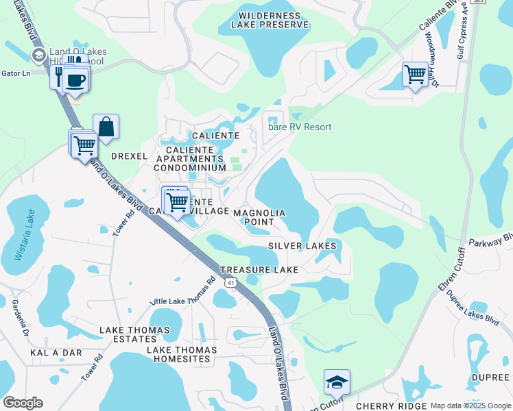 map of restaurants, bars, coffee shops, grocery stores, and more near 6616 Vanda Lane in Land O' Lakes