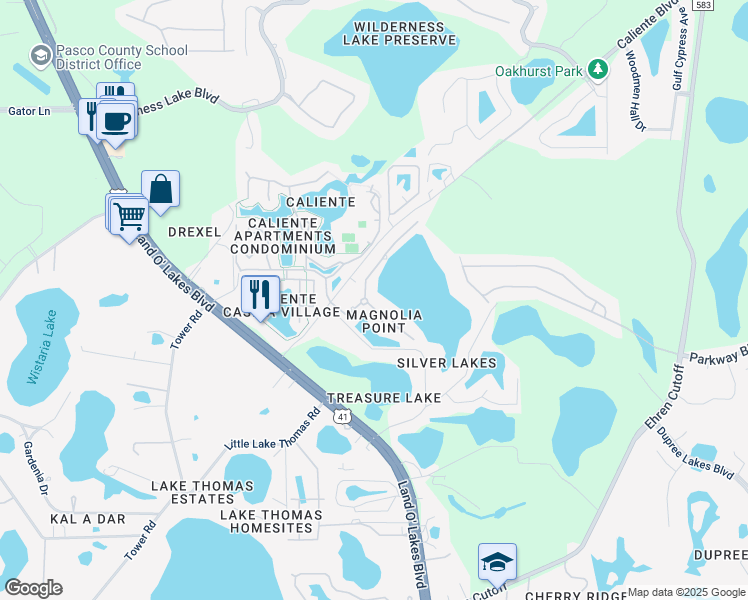 map of restaurants, bars, coffee shops, grocery stores, and more near 6616 Vanda Lane in Land O' Lakes