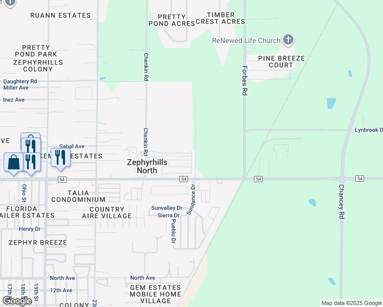 map of restaurants, bars, coffee shops, grocery stores, and more near Pecan Street in Zephyrhills