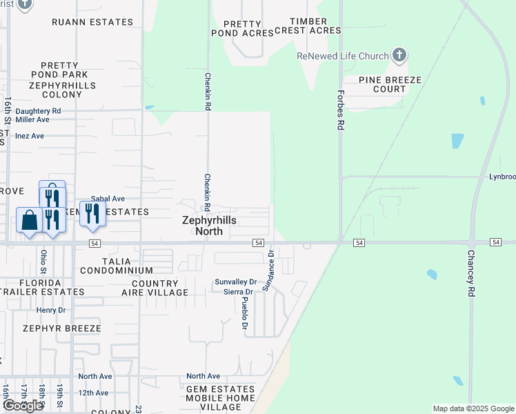 map of restaurants, bars, coffee shops, grocery stores, and more near Pecan St in Zephyrhills