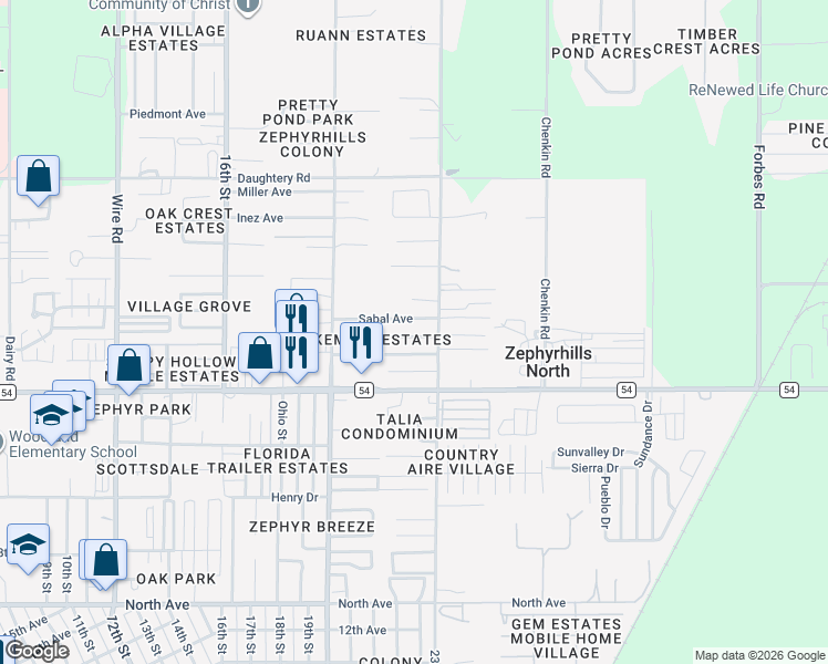 map of restaurants, bars, coffee shops, grocery stores, and more near 39149 Flora Avenue in Zephyrhills